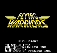 Flying Warriors