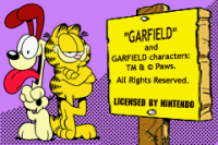 Garfield - The Search for Pooky