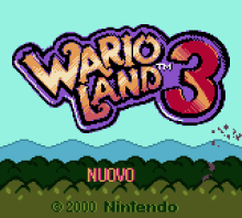 Wario Land 3