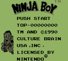 Ninja Boy