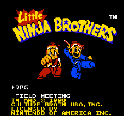 Little Ninja Brothers