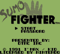Sumo Fighter
