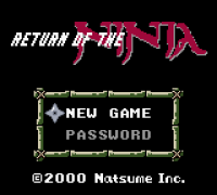 Return of the Ninja