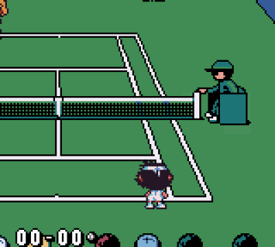 Roland Garros French Open (Открытый чемпионат Франции по теннису - Гаррос)