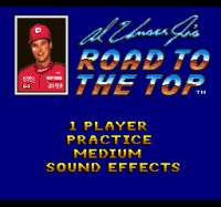 Al Unser Jr's Road to the Top