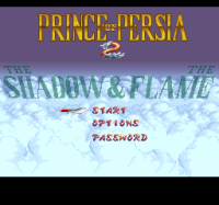 Prince of Persia 2 - The Shadow and The Flame