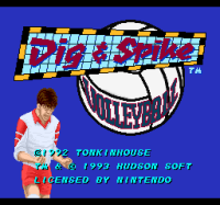 Dig and Spike Volleyball
