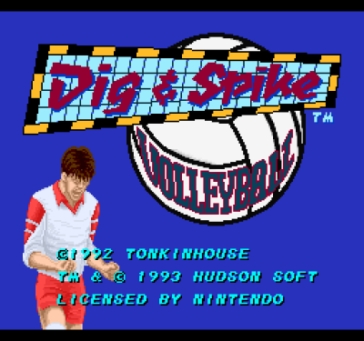 Dig and Spike Volleyball