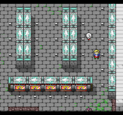 Pachiokun Special 2 (Особый Пачиокун)