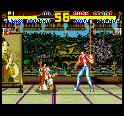 Fatal Fury Special (Особая смертельная ярость)