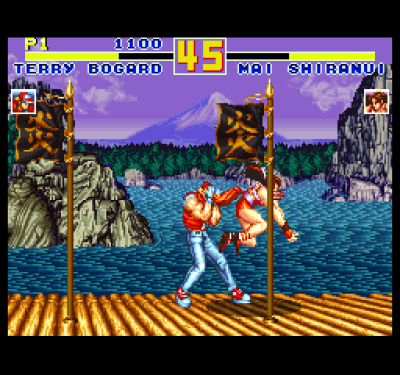 Fatal Fury Special (Особая смертельная ярость)